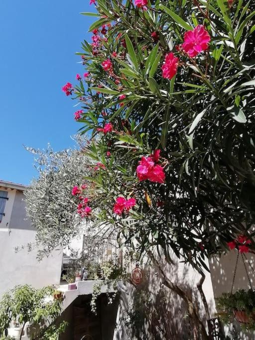 La Chamade Maison De Village Climatisee Lapalud Ngoại thất bức ảnh